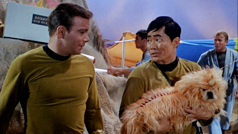 Illustration for article titled I Am Captain Kirk! Star Trek Recap, S01E05: The Enemy Within